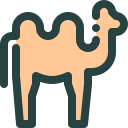 animal icon