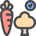 saludable icon