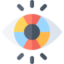 ojo icon