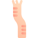브러시 