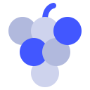 uvas icon