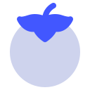 tomate icon