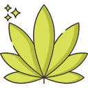 indica icon