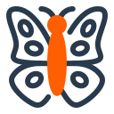 borboleta 