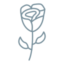 rosa icon