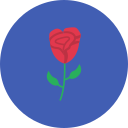 rosa icon