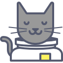 gato icon