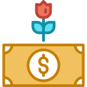 dinero icon