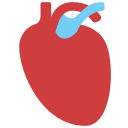 corazón icon