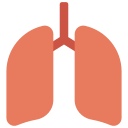 pulmones icon