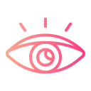 ojo icon