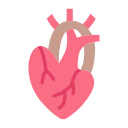 corazón icon