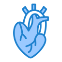 corazón icon