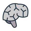 cerebro icon