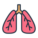 pulmones 