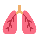 pulmones icon