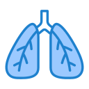 pulmones icon