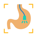 endoscopia icon