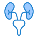 urología icon