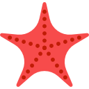 estrella de mar icon