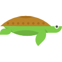 tortuga icon