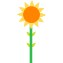 girasol icon