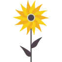 girasol icon