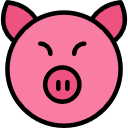 Pig 