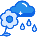 lluvia icon