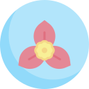 buganvilla icon