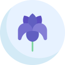 iris icon