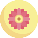 gerbera icon