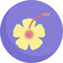 hibisco icon