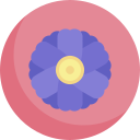 zinnia icon