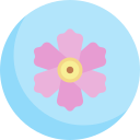 cosmos icon