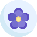 violeta icon