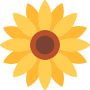 girasol icon