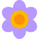 violeta icon