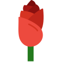 rosa icon