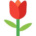 tulipán icon