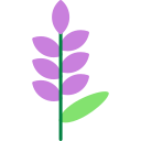 lavanda icon