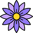 aster 