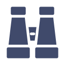 Binocular icon