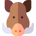 cochon sauvage icon