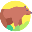 oso icon