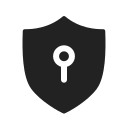 seguridad icon