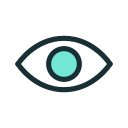 ojo icon