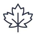 canadá icon