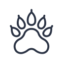 animal icon