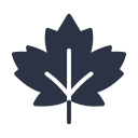 canadá icon